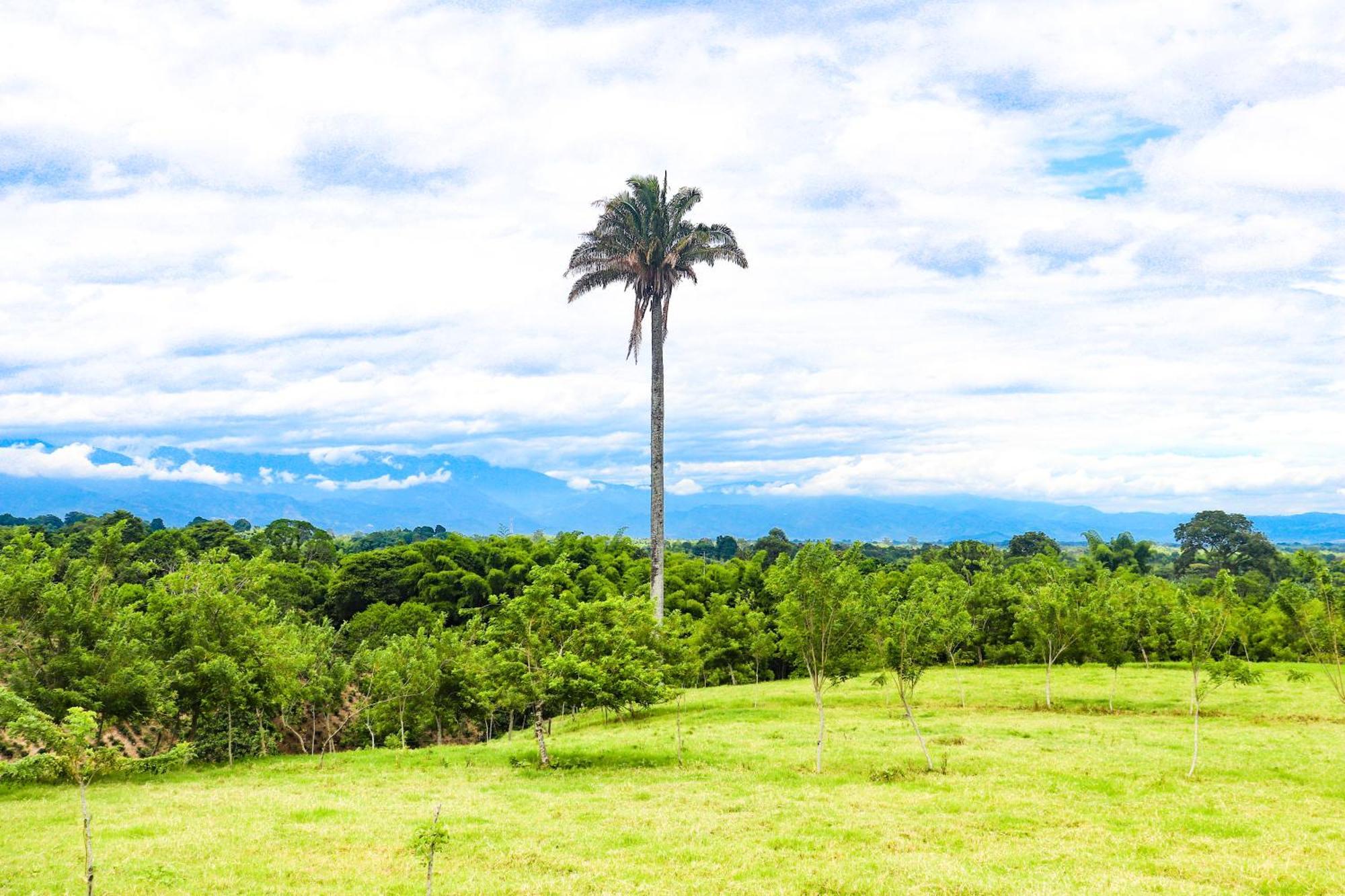 Hotel Quindio Campestre Montenegro Exterior foto